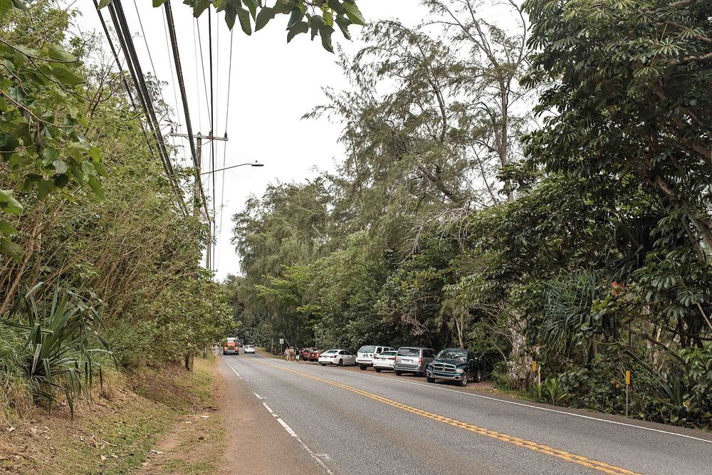 Crouching Lion Hike Oahu: Everything You Need to Know — ckanani ...