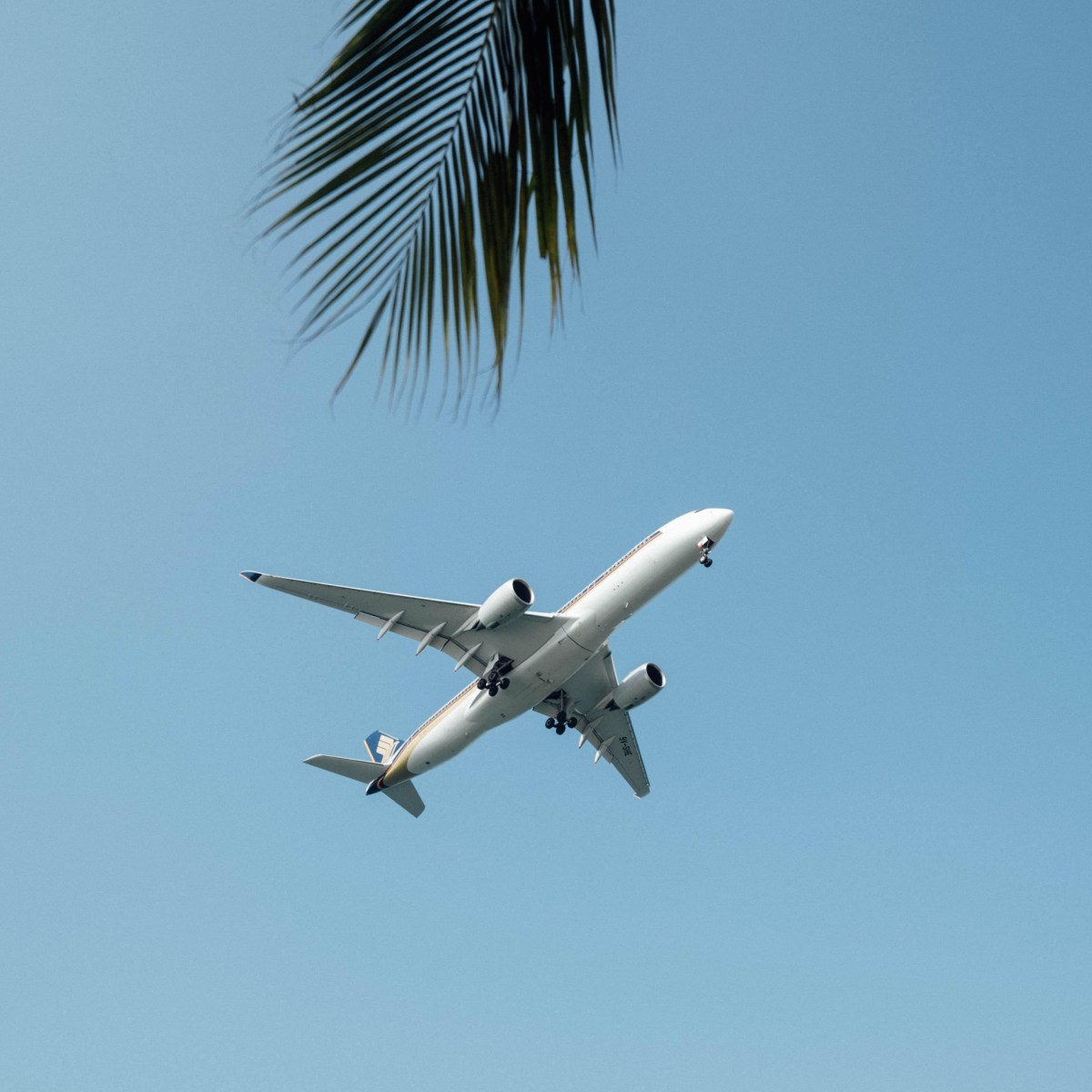 Why Finding Flights with Skyscanner is All the&nbsp;Rage