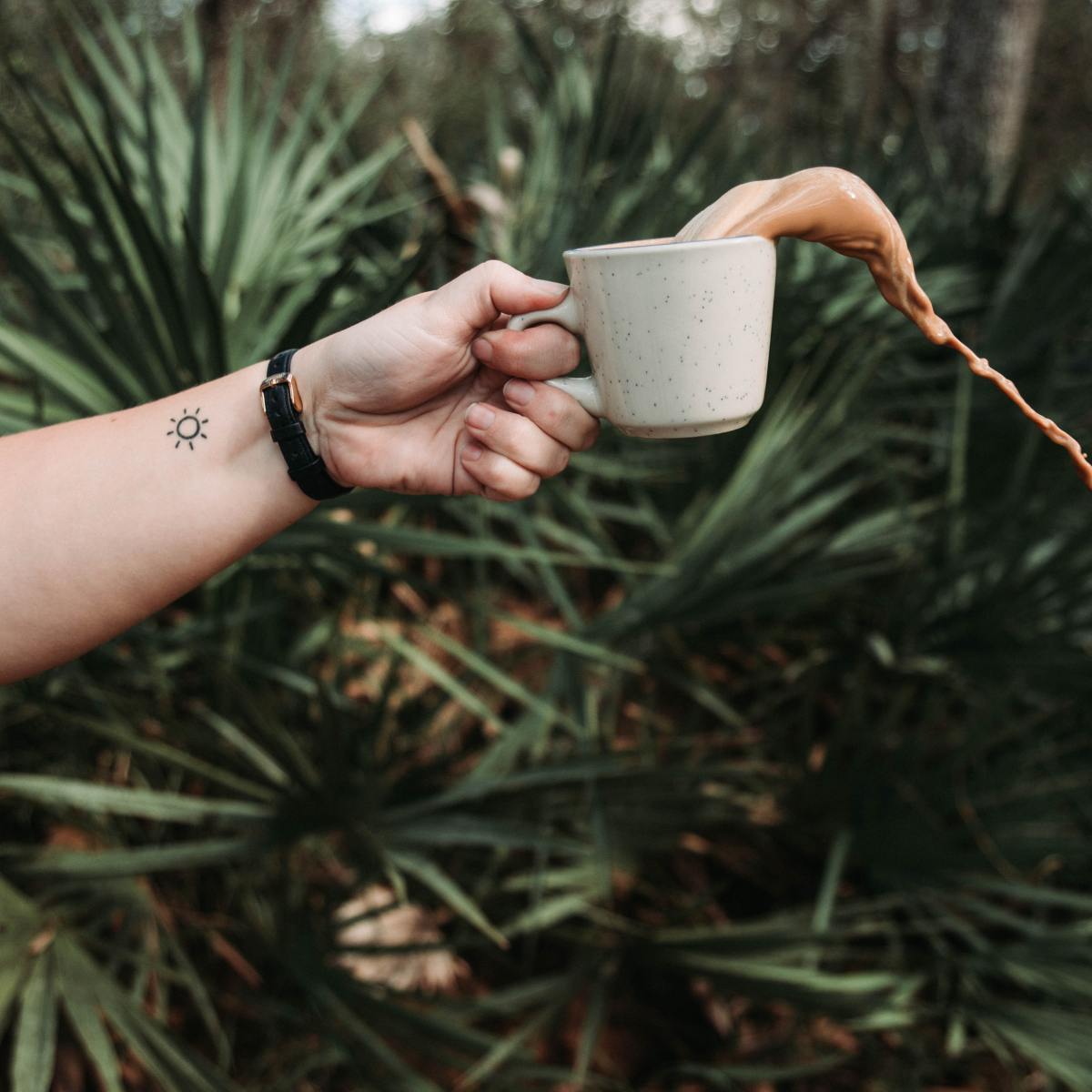 Top 5 Cutest Coffee Shops on O’ahu,&nbsp;Hawaii